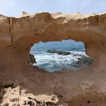 Oasis