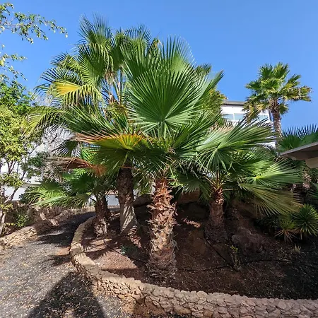 Oasis Apartamento *
