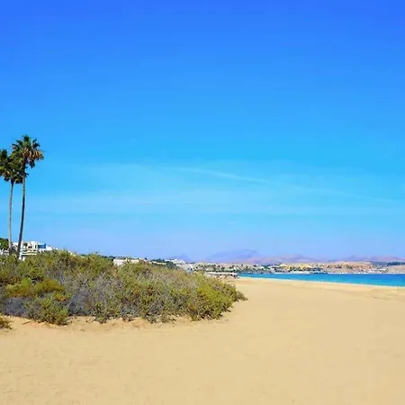 Oasis Costa Calma