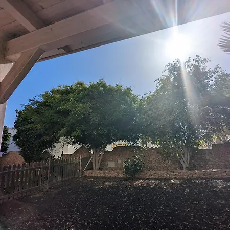 Oasis
