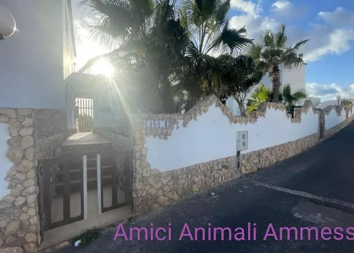 Oasis Appartamento Costa Calma